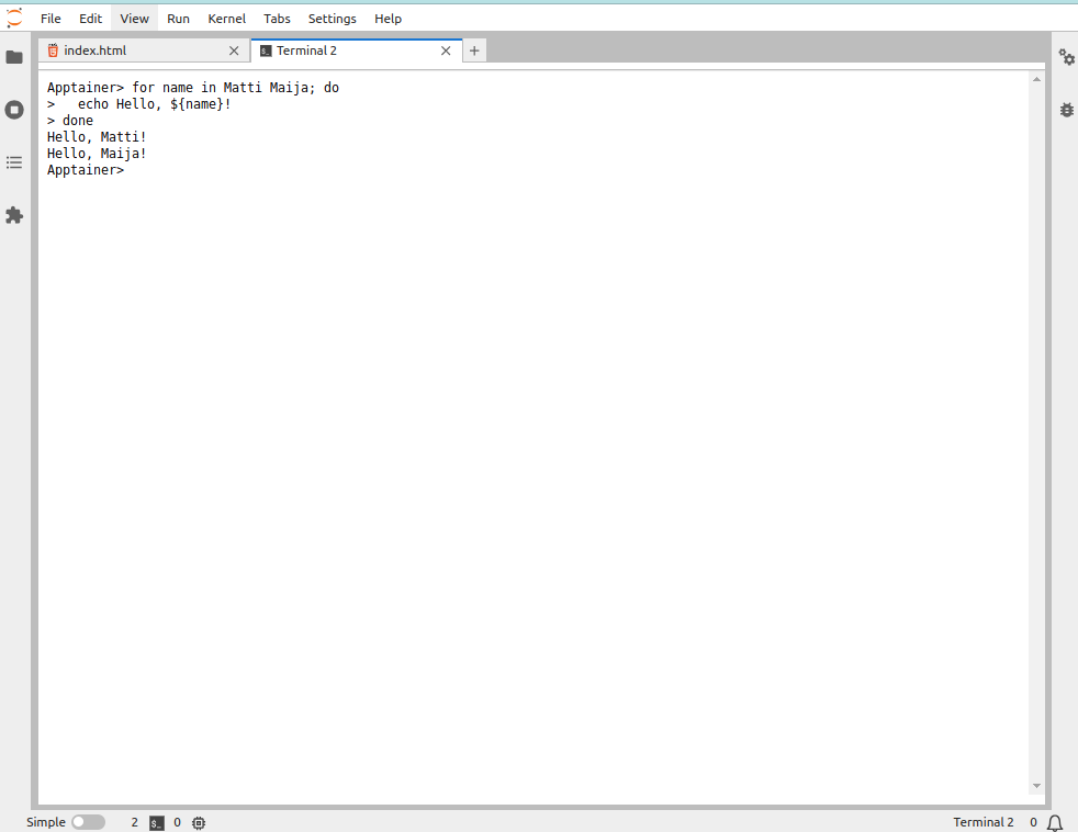 Jupyter terminal.