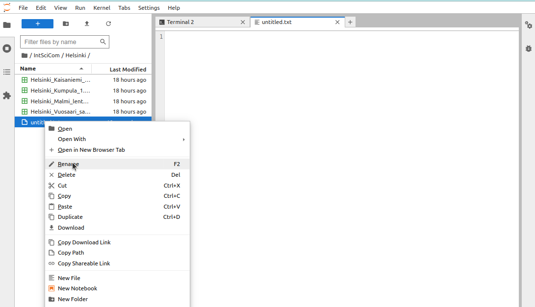 Renaming a file through Jupyter file browser.