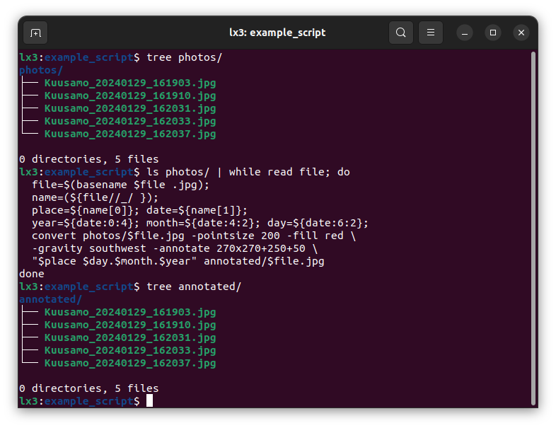 Linux terminal with bash shell commands.