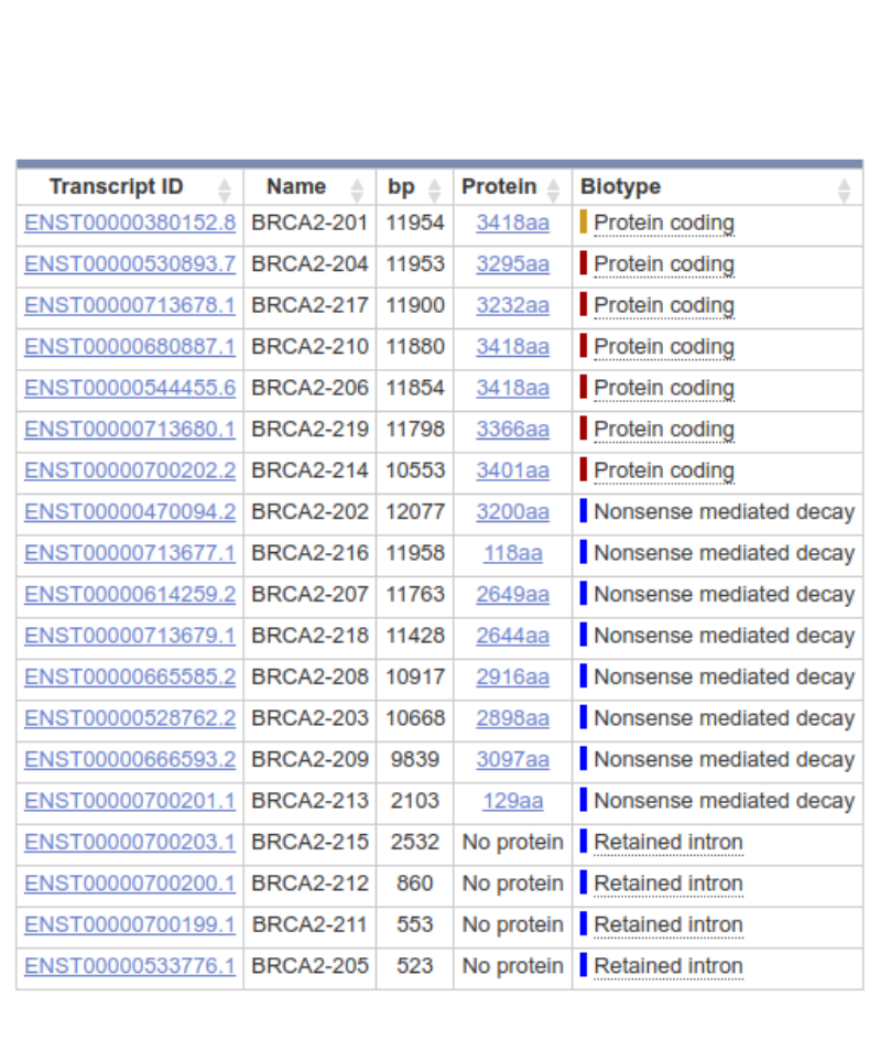 BRCA2 transcripts