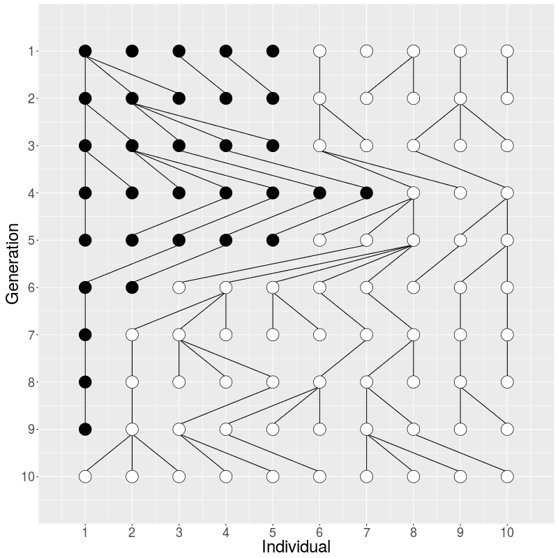 Change in allele frequency.