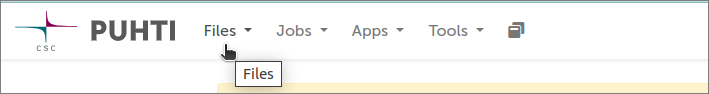 Showing files on Puhti.