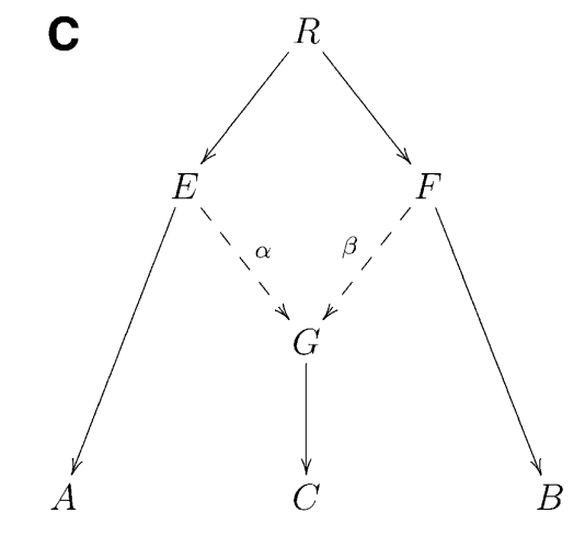 Schematic illustration of F3 statistic.