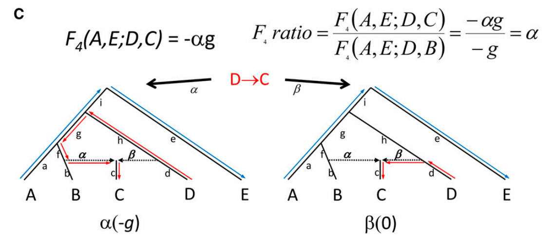 Schematic illustration of F4 ratio tests.