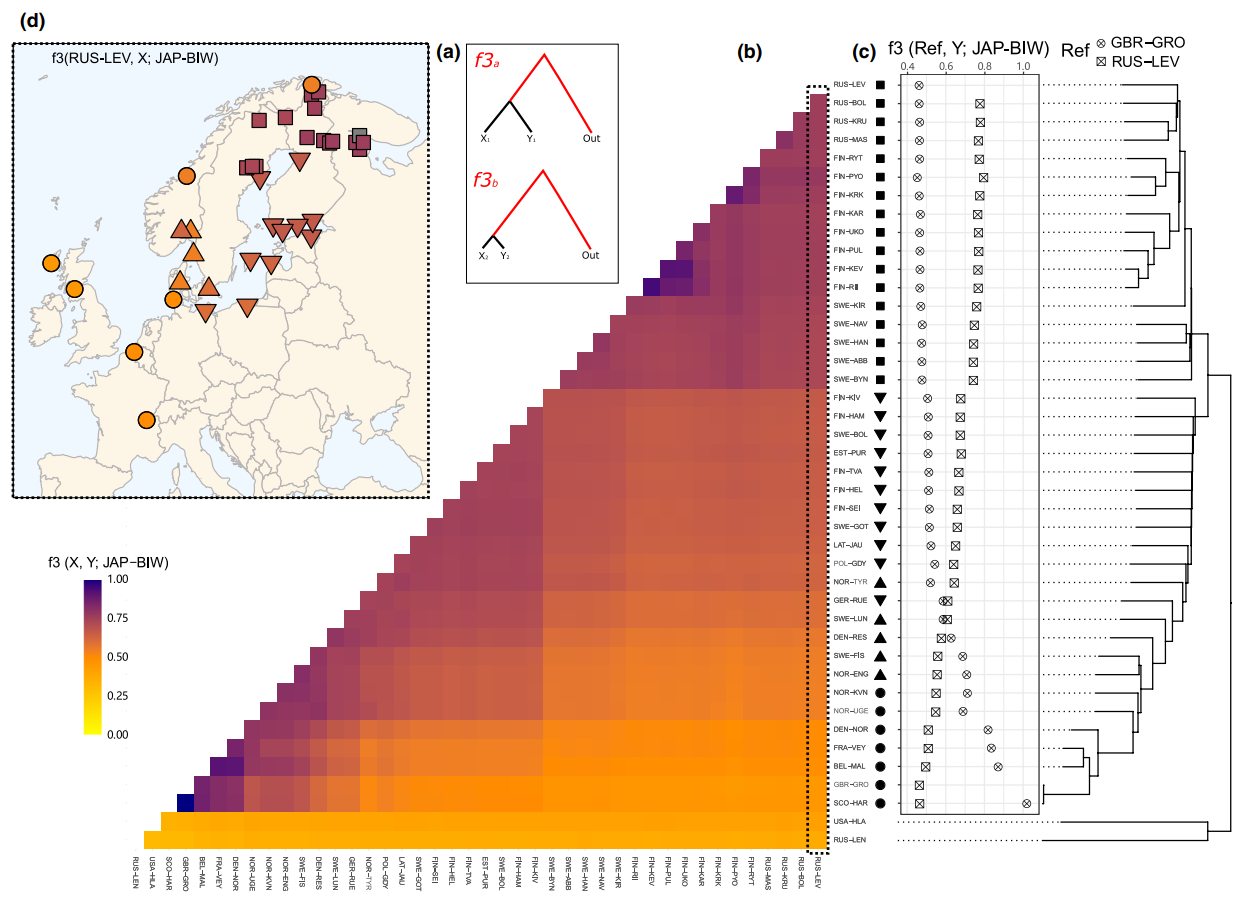 Relationships between nine-spined stickleback WL and EL populations.