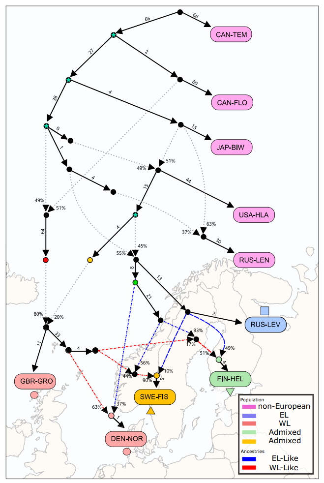 Complex history of European nine-spined stickleback lineages.
