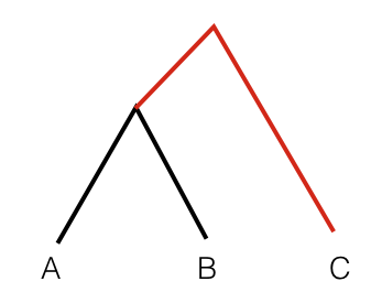 Schematic illustration of outgroup F3 statistics.