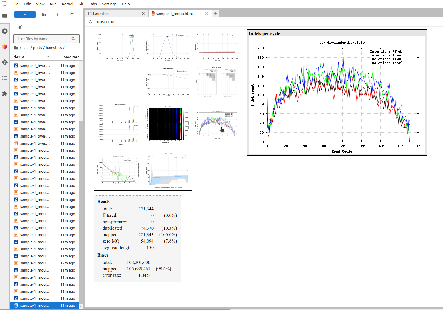 A VCF file in IGV.