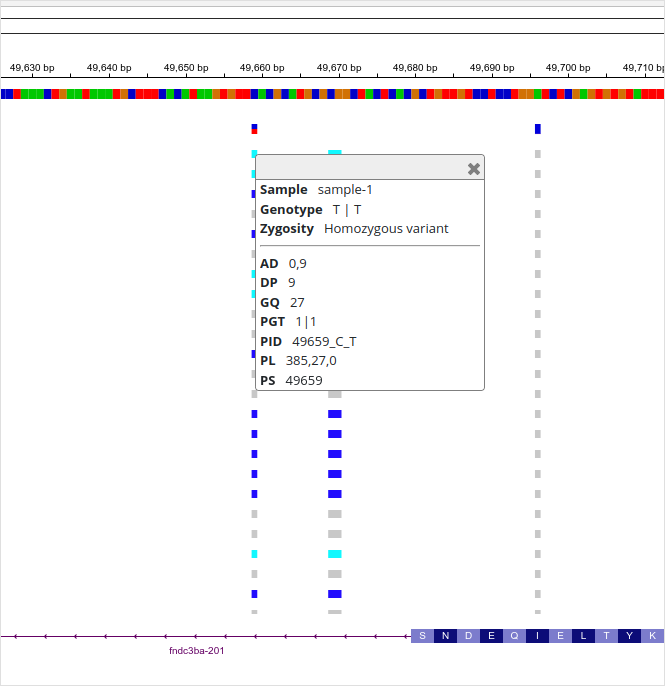 A VCF file in IGV.