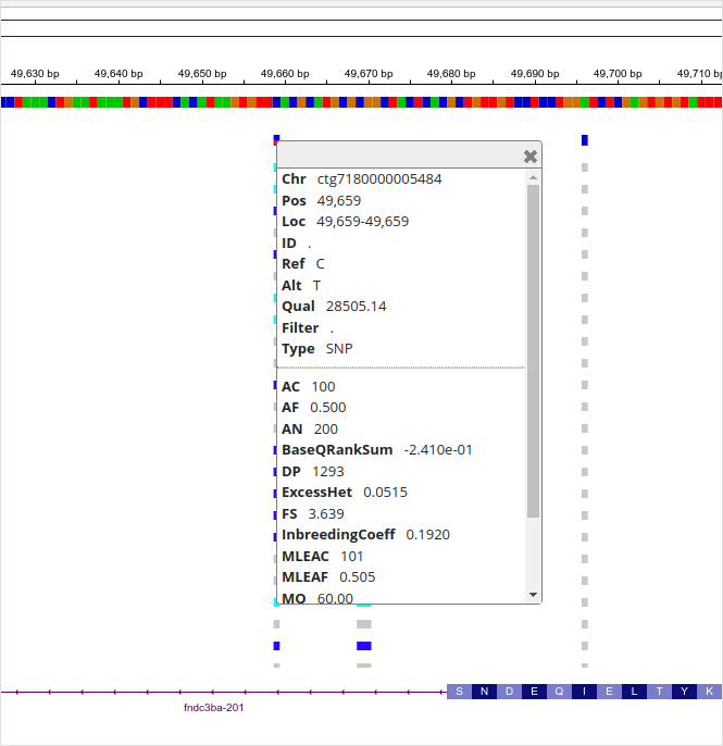A VCF file in IGV.