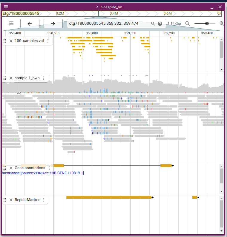 A bad region ins a BAM file.