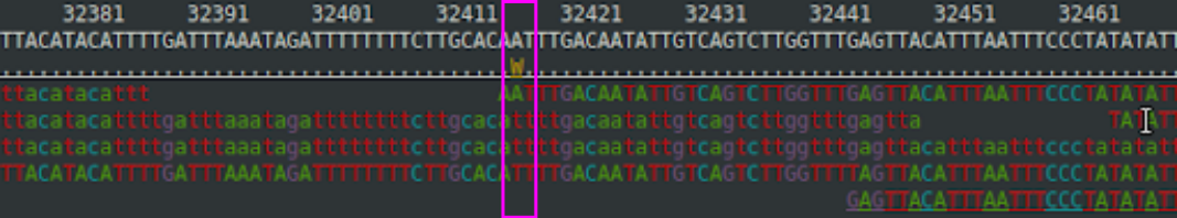 A part of a BAM file.