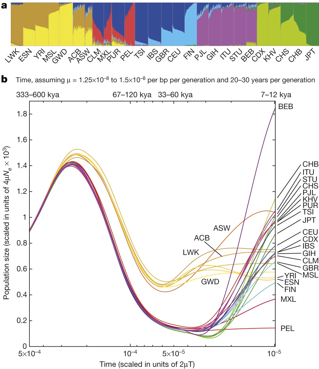 Population structure and demography with ADMIXTURE and PSMC (note the direction of time).