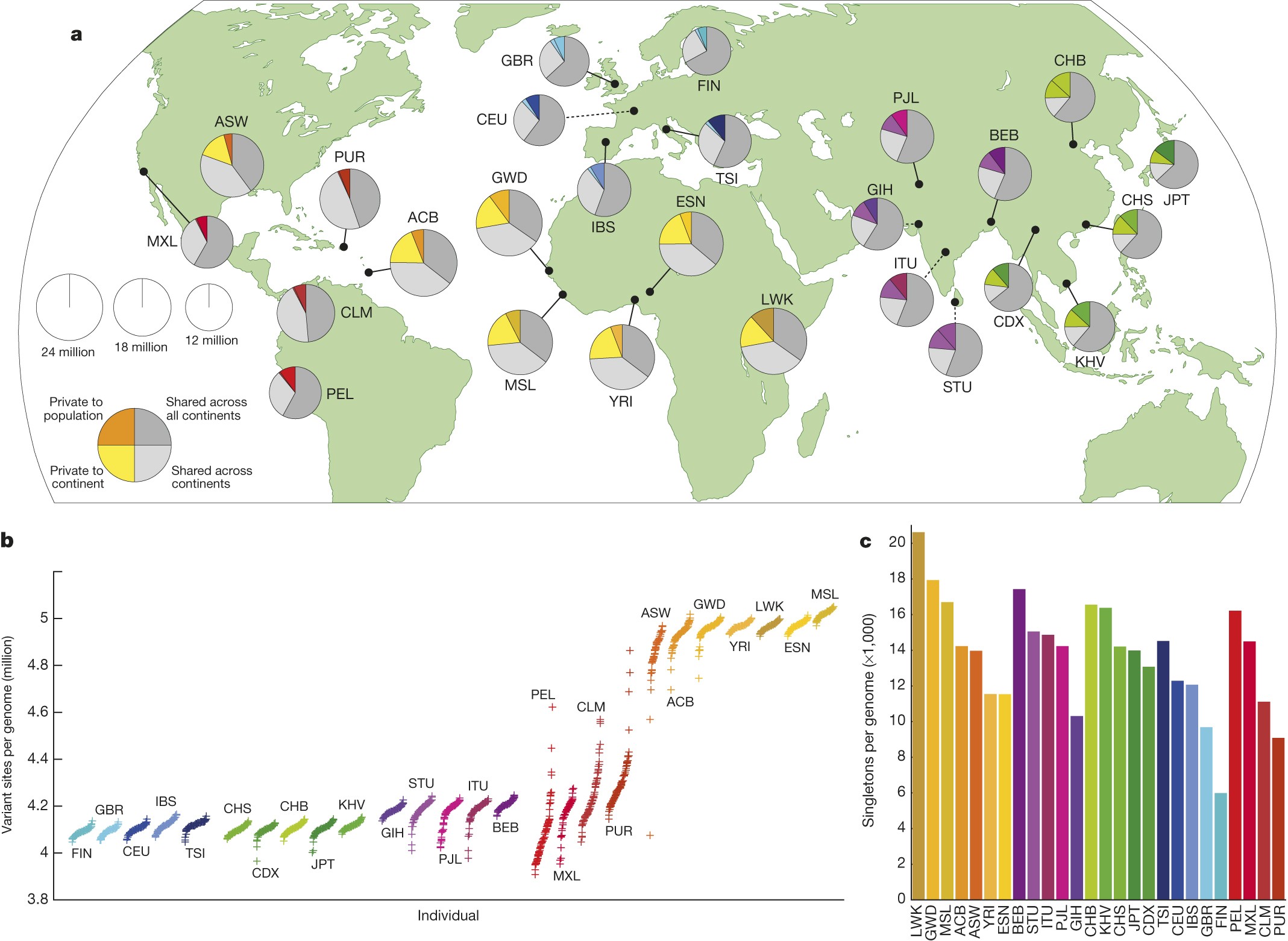 Polymorphism across populations. Note the low variation among Finns.