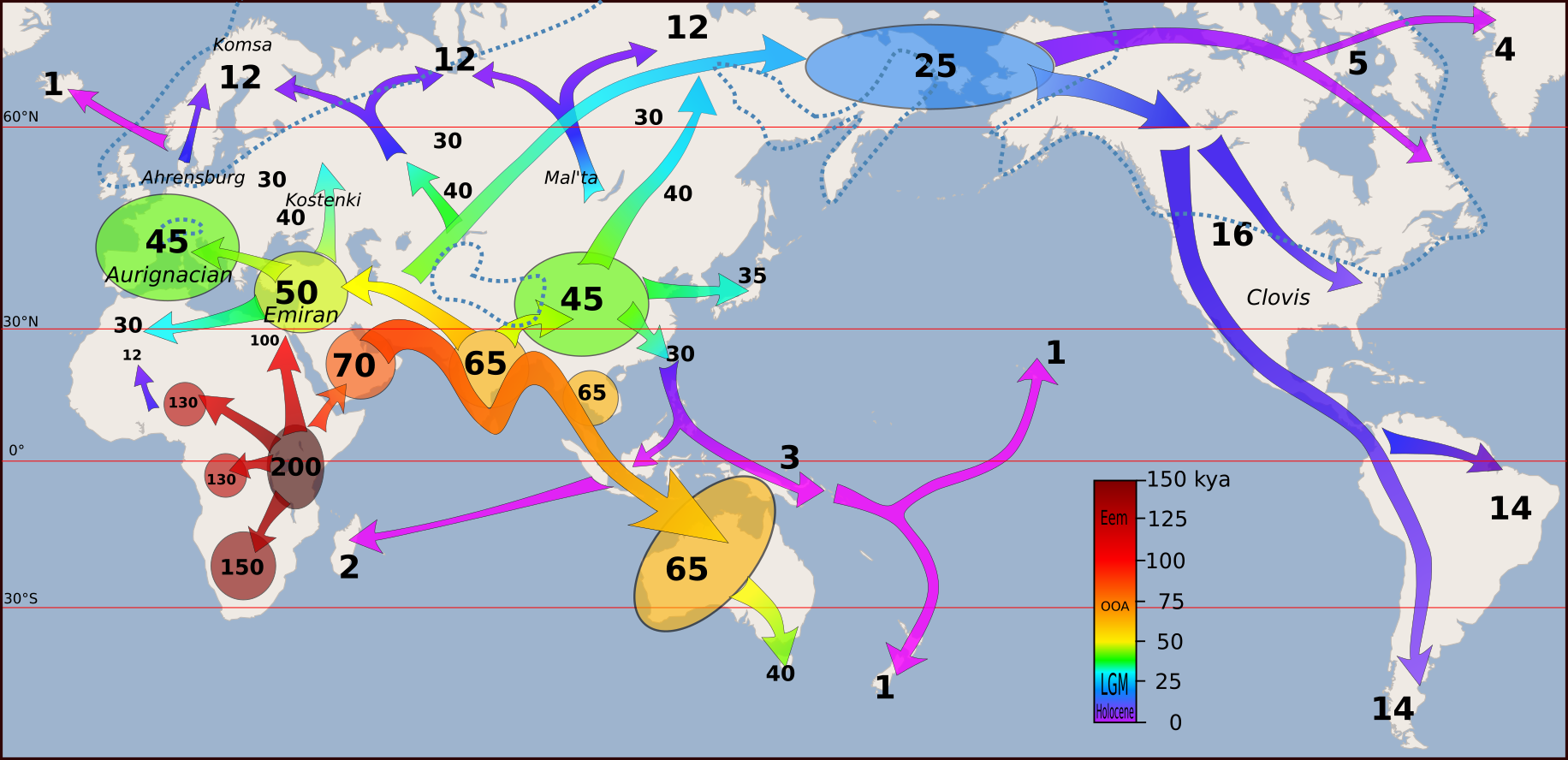 A model of H. sapiens migrations and colonisation of continents.
