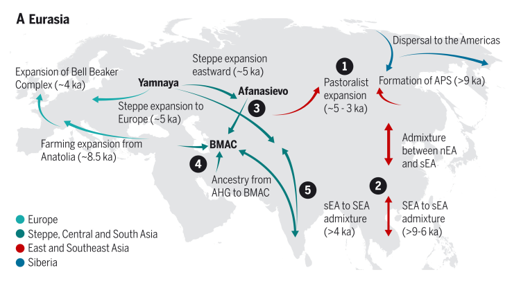 Major human migrations in Eurasia.