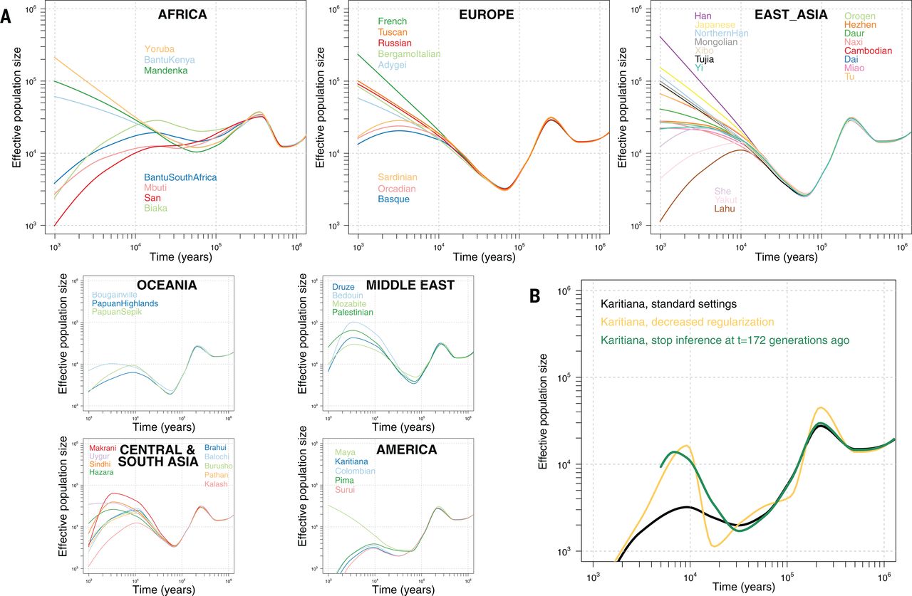 Effective population sizes inferred using SMC++ (somewhat similar to MSMC2).