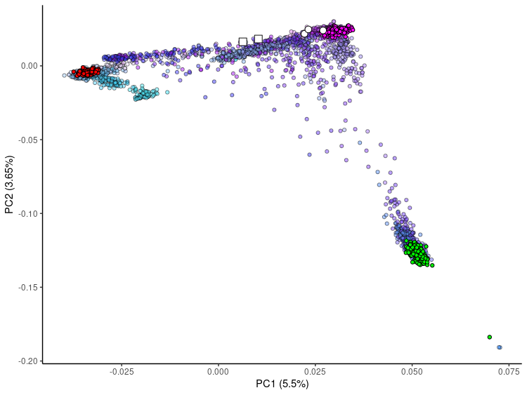 PCA plot.