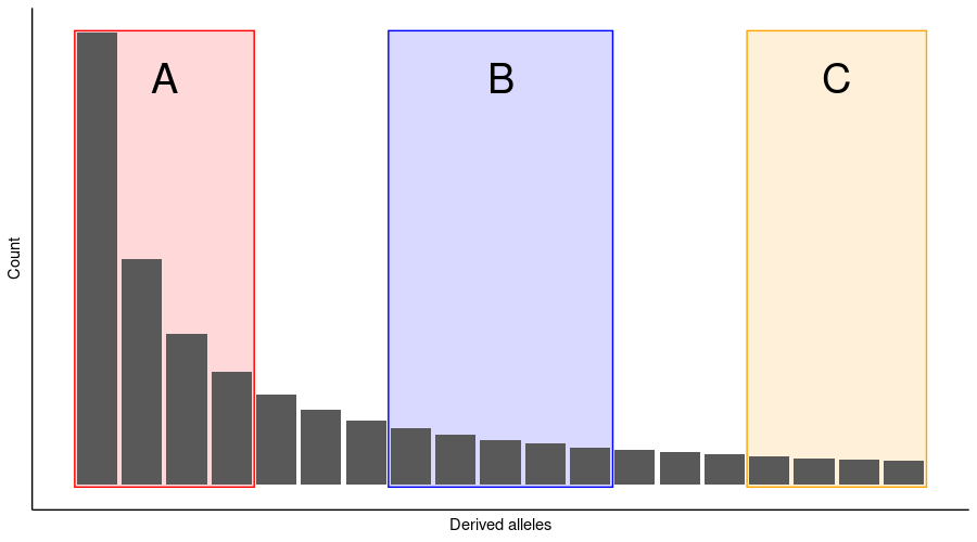 SFS of neutral coalescence process.