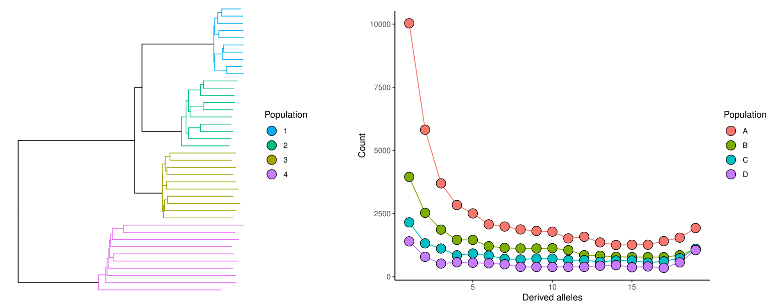 Tree and SFS of four populations.