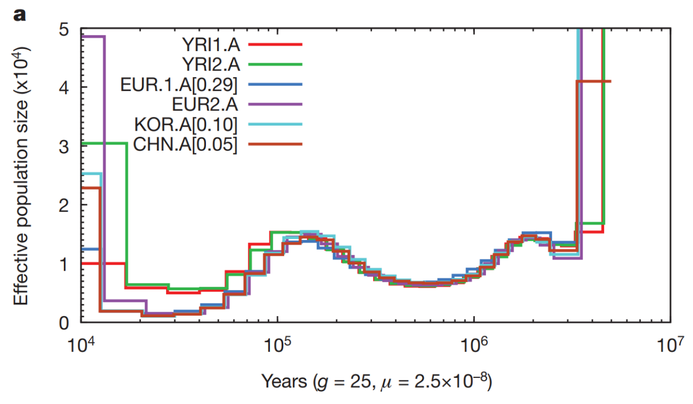 The very first PSMC plots.