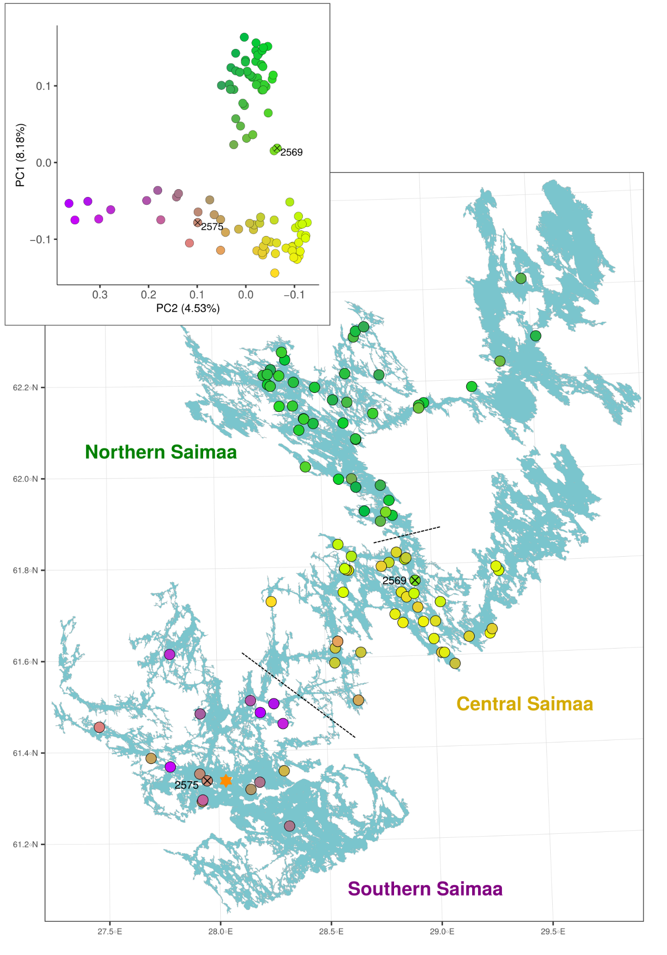 Genetic variation within Saimaa. The dots are colored based on their position in the PCA and shown then on the map of Saimaa.