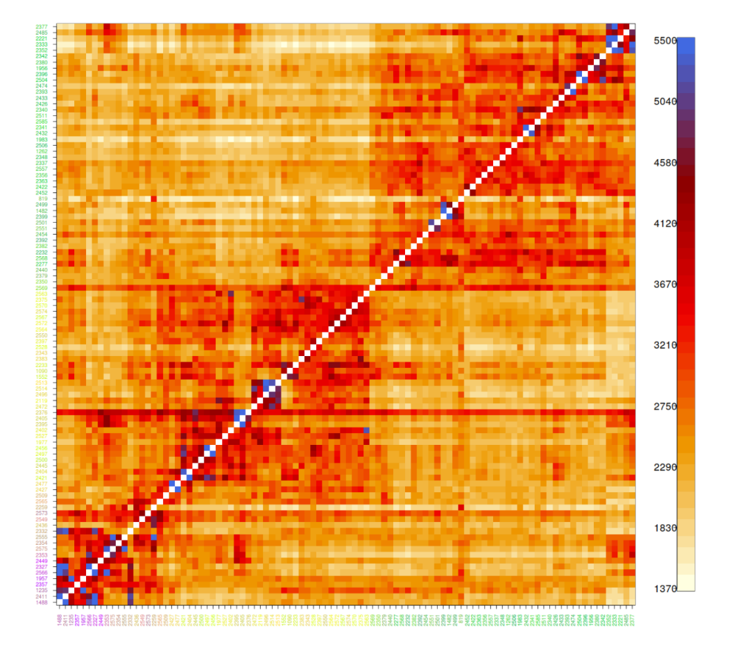 Coancestry is a measure of pairwise similarity and shows the division into three subpopulations