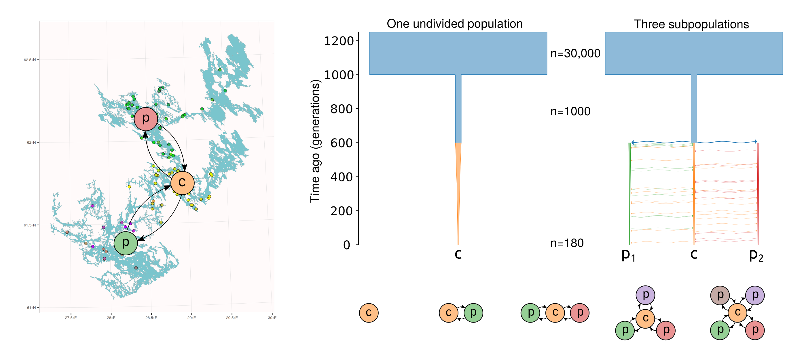 In simulations, the central subpopulation (c) connects 0-4 peripheral (p) parts of the lake.