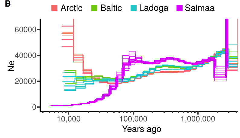 Inferred demographic histories for different ringed seal subspecies.