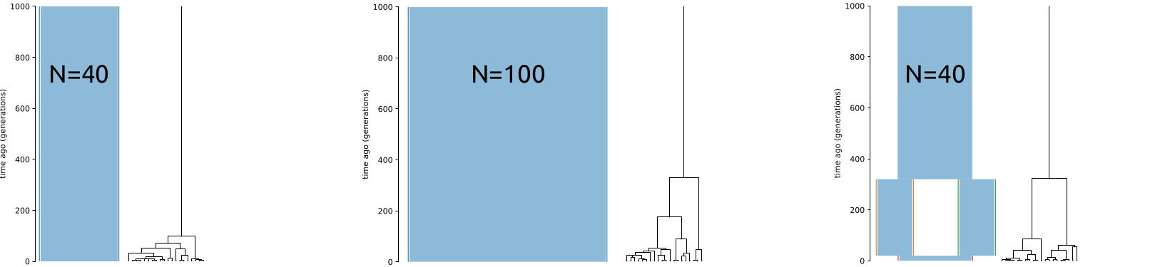 Single coalescence trees under three evolutionary scenarios.