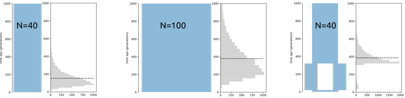 Distributions of coalescence times under three evolutionary scenarios.
