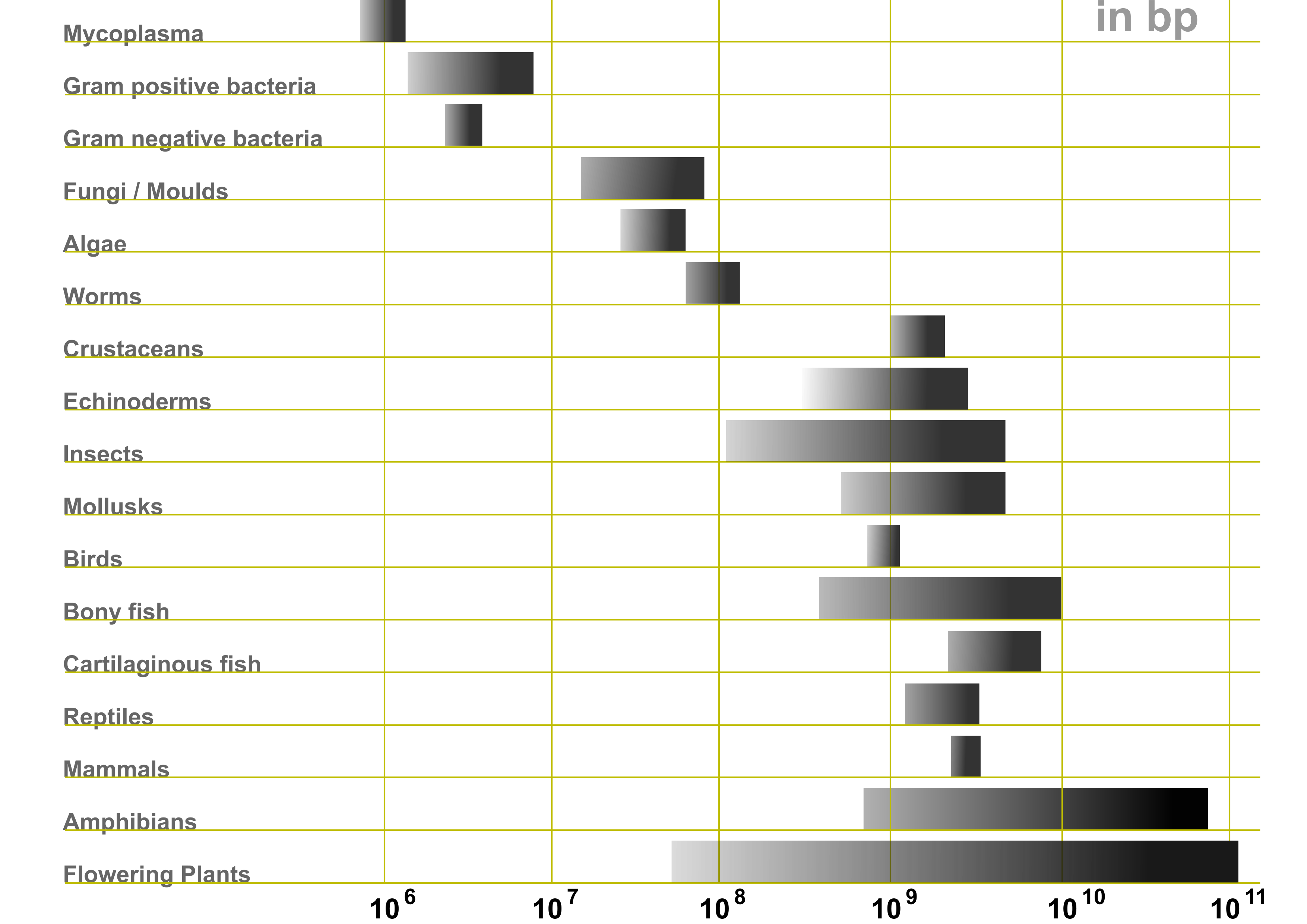 Genome size ranges of various life forms according to Wikipedia. Note that the estimates may be downwards biased as organisms with small genomes are easier to study and have preferentially been targeted.