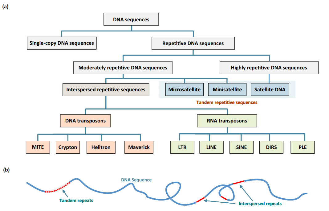 Repeat types by Liao et al. (2023).