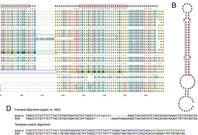 pnas_fig1